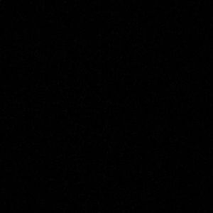 Meet your Posher, Savannah